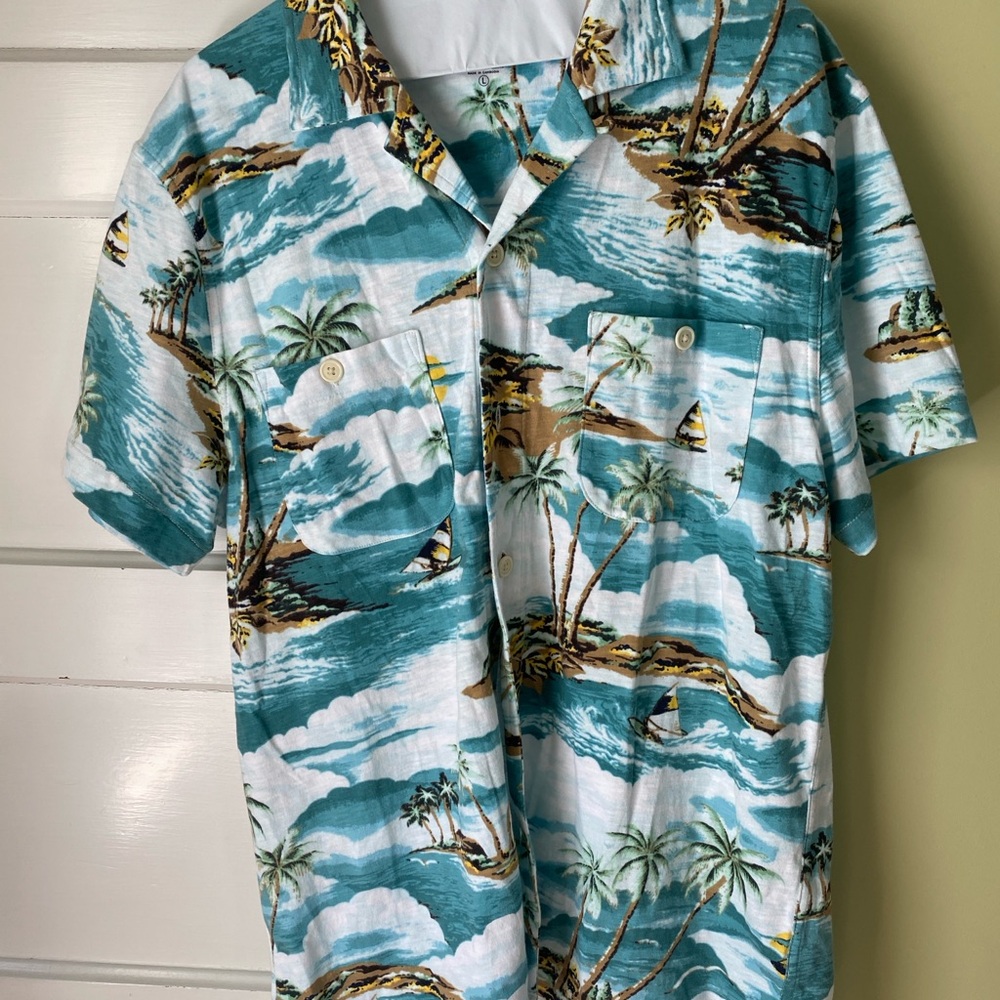 J. Crew Blue and White Casual Button Down Shirt